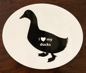 I ❤️ My Ducks Decal