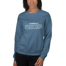 Load image into Gallery viewer, Literally Freezing Unisex Sweatshirt
