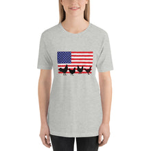 Load image into Gallery viewer, Chickens and Flag Short-Sleeve Unisex T-Shirt
